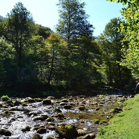 Communaux A Apartman Lourdios-Ichère