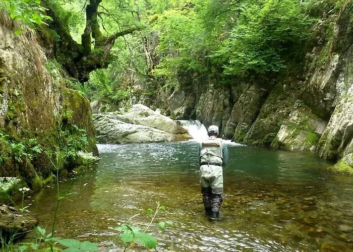 Apartamento Communaux A Lourdios-Ichere