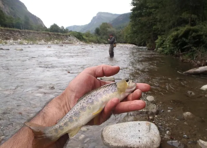 Communaux A * Lourdios-Ichere